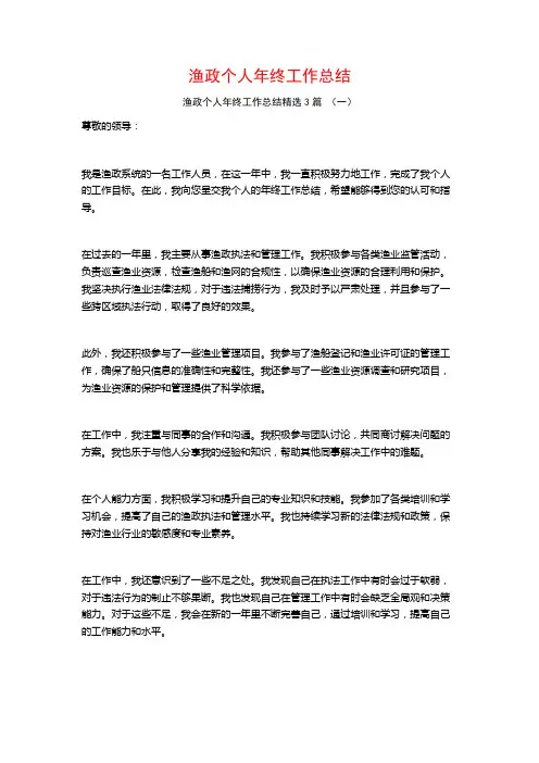 渔政个人年终工作总结3篇