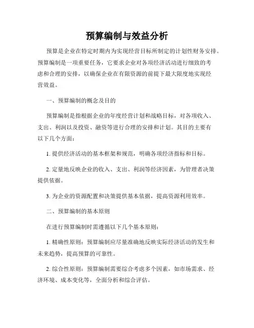 预算编制与效益分析