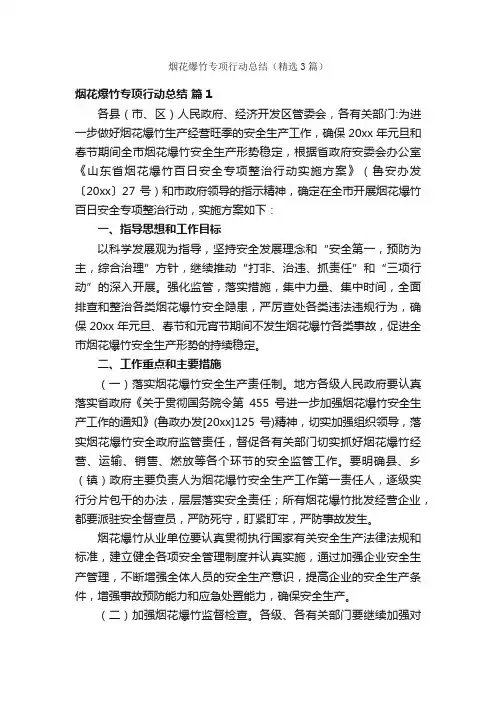 烟花爆竹专项行动总结（精选3篇）