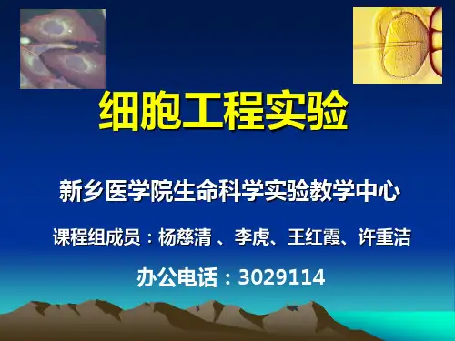 细胞工程实验
