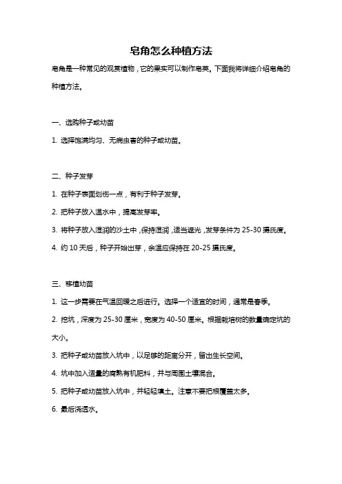 皂角怎么种植方法