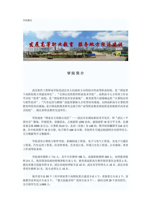 武汉软件工程职业学院学院简介