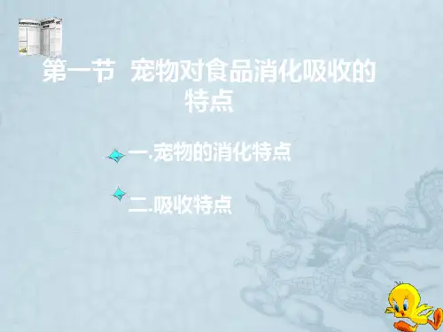 宠物对食品消化吸收的特点