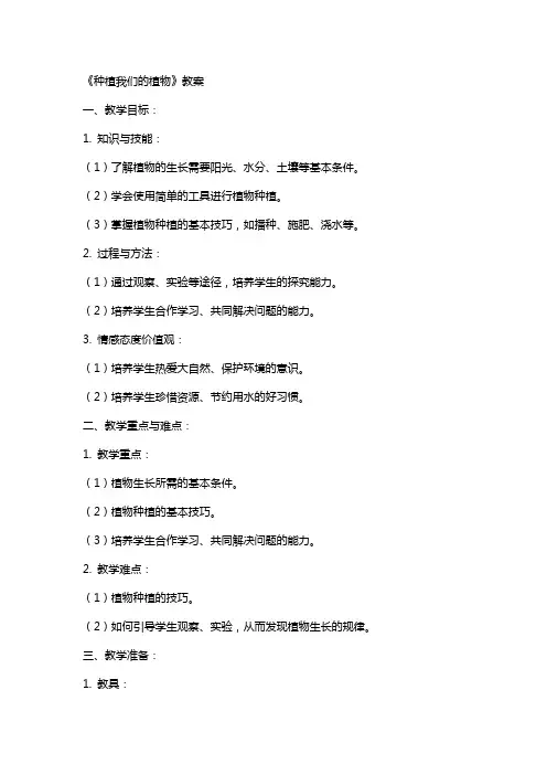 《种植我们的植物》教案