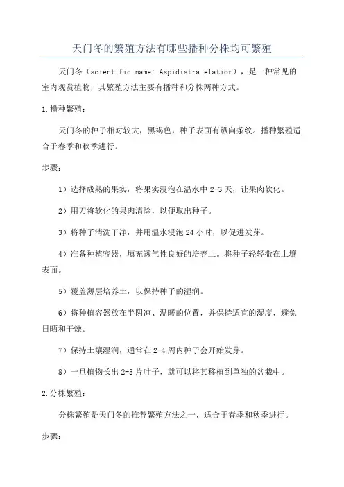 天门冬的繁殖方法有哪些播种分株均可繁殖