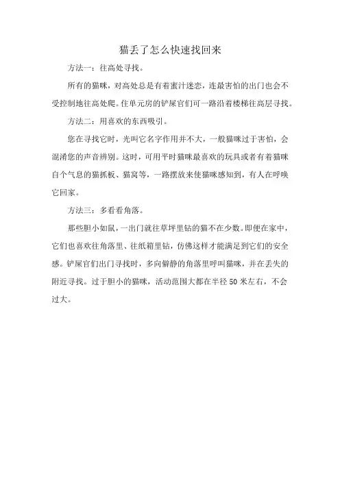 猫丢了怎么快速找回来
