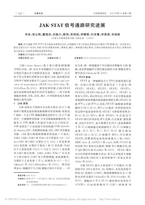 JAK_STAT信号通路研究进展_宋舟