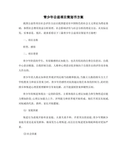 青少年公益项目策划书方案