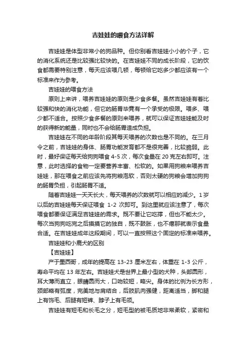 吉娃娃的喂食方法详解