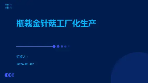 瓶栽金针菇工厂化生产