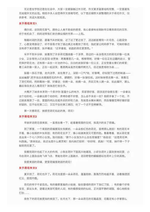 关于荷花作文（15篇）