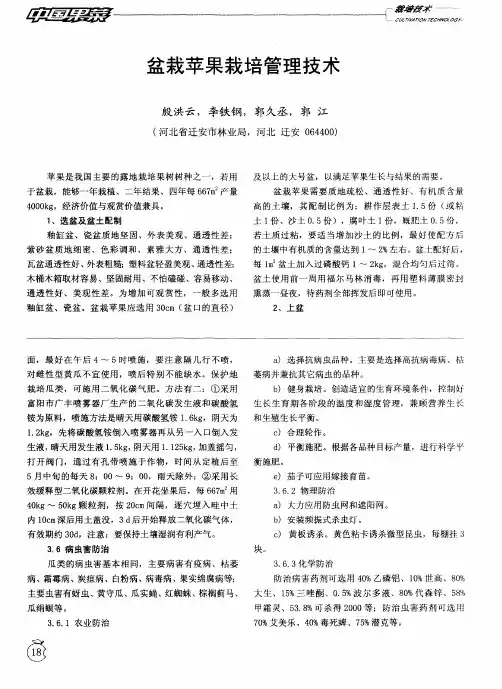 盆栽苹果栽培管理技术