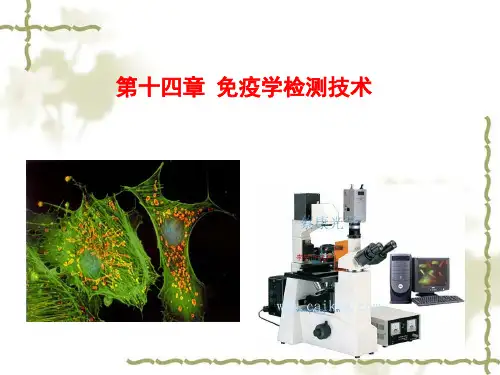第十四章免疫学检测技术