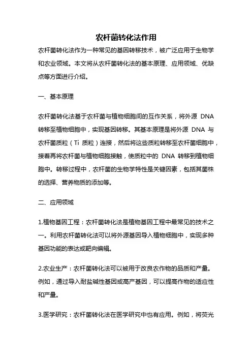 农杆菌转化法作用