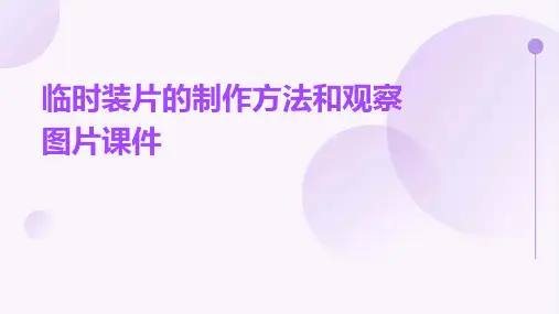 临时装片的制作方法和观察图片课件