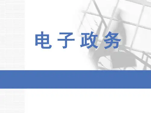 徐晓林,杨锐电子政务第二章