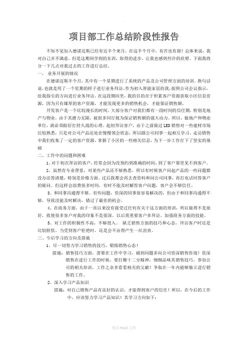 项目部阶段性工作总结报告