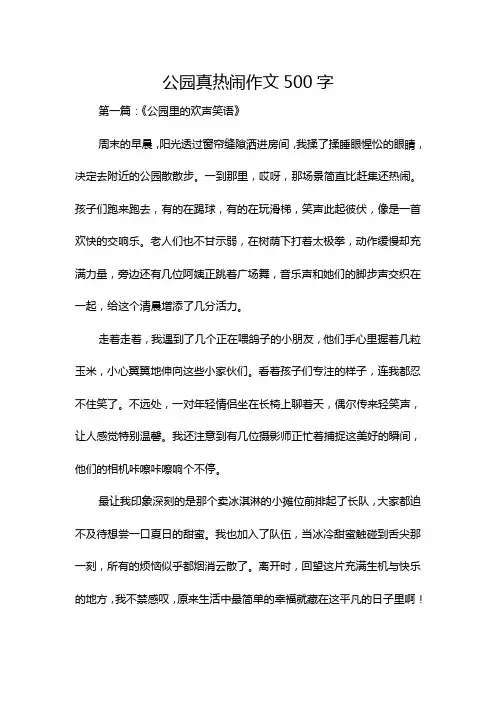公园真热闹作文500字