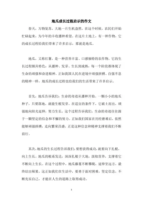 地瓜成长过程启示的作文