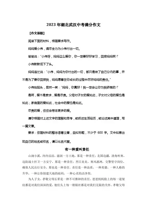 2023年湖北武汉中考满分作文《有一种爱叫责任》