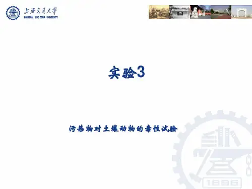 实验3 污染物对土壤动物的毒性试验