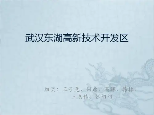 武汉东湖高新技术开发区资料