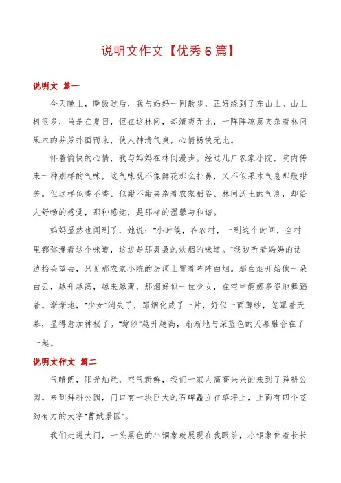 说明文作文【优秀6篇】