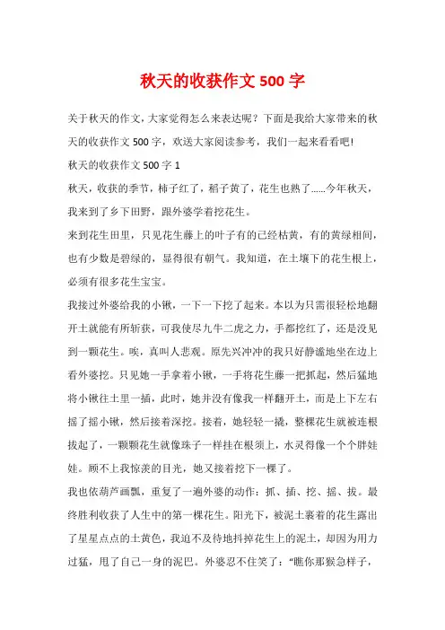 秋天的收获作文500字