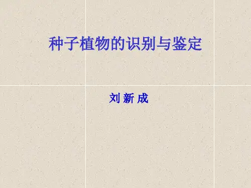 种子植物的识别与鉴定