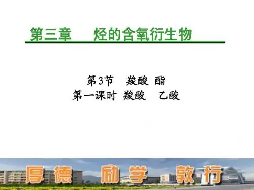 羧酸乙酸精品课件