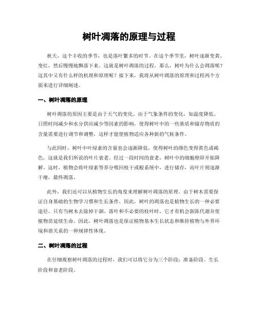 树叶凋落的原理与过程