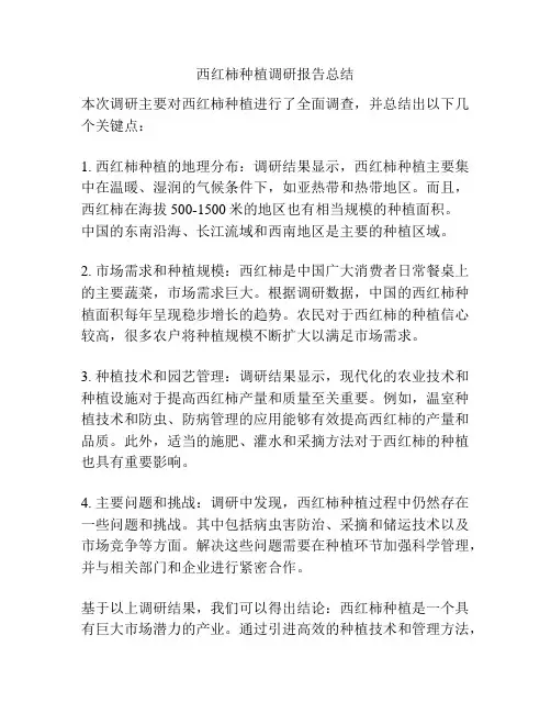 西红柿种植调研报告总结