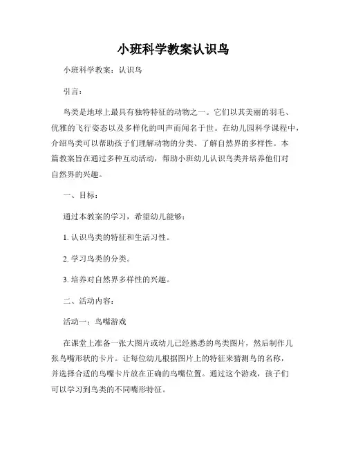 小班科学教案认识鸟