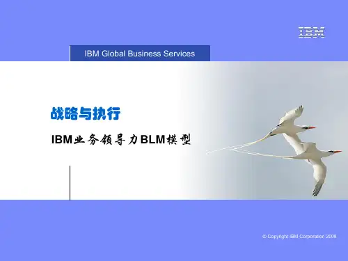 华为从ibm引进的BLM模型