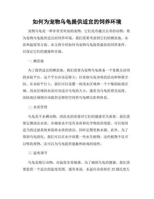 如何为宠物乌龟提供适宜的饲养环境