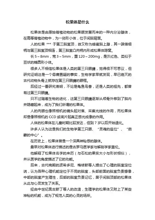 松果体是什么