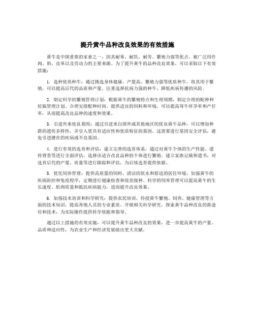 提升黄牛品种改良效果的有效措施