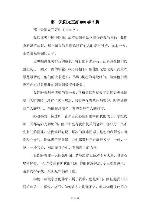 那一天阳光正好800字7篇