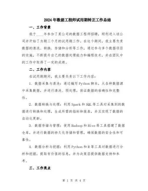 2024年数据工程师试用期转正工作总结