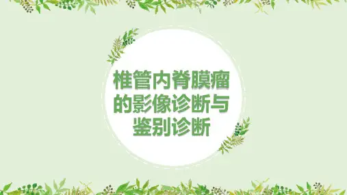椎管内脊膜瘤的影像诊断与鉴别诊断