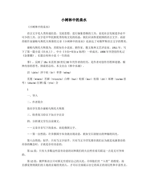 小树林中的泉水