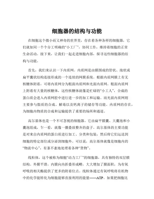 细胞器的结构与功能