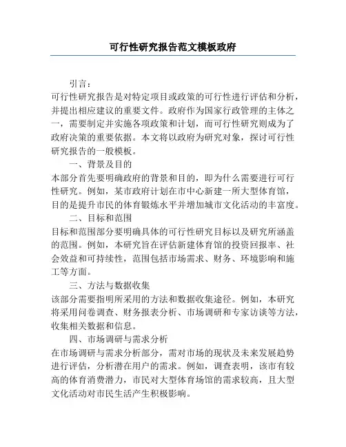 可行性研究报告范文模板政府