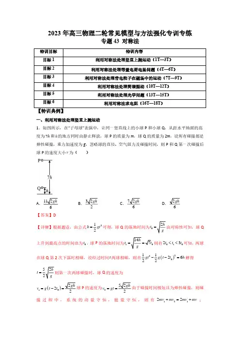 专题43 对称法(解析版)