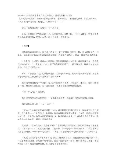 2016年山东省滨州市中考作文优秀范文：温暖的旅程(1篇)