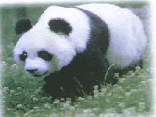 根据生物的特征进行分类
