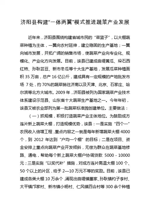 济阳县构建“一体两翼”模式推进蔬菜产业发展