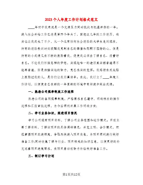 2023个人年度工作计划格式范文(五篇)