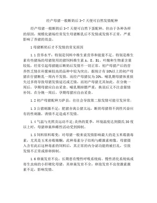 经产母猪一般断奶后3-7天便可自然发情配种