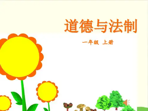 道德与法治《玩得真开心》PPT课件-完美版1